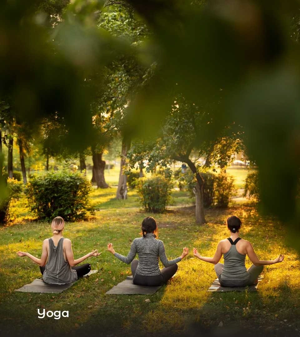 yoga-class-in-garden